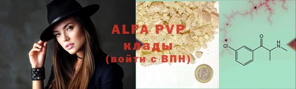 spice Богданович