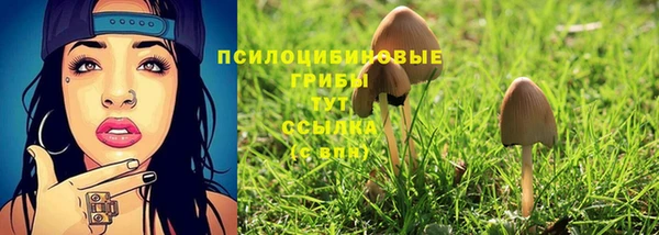 spice Богданович