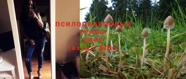MDMA Premium VHQ Беломорск